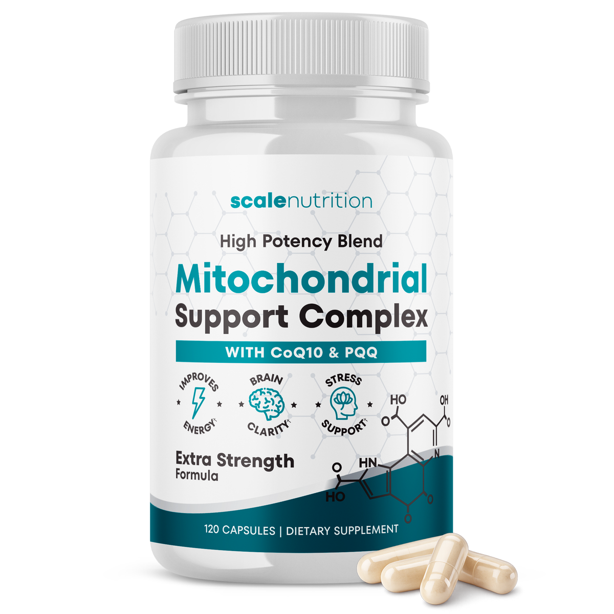 Mitochondrial Support Complex