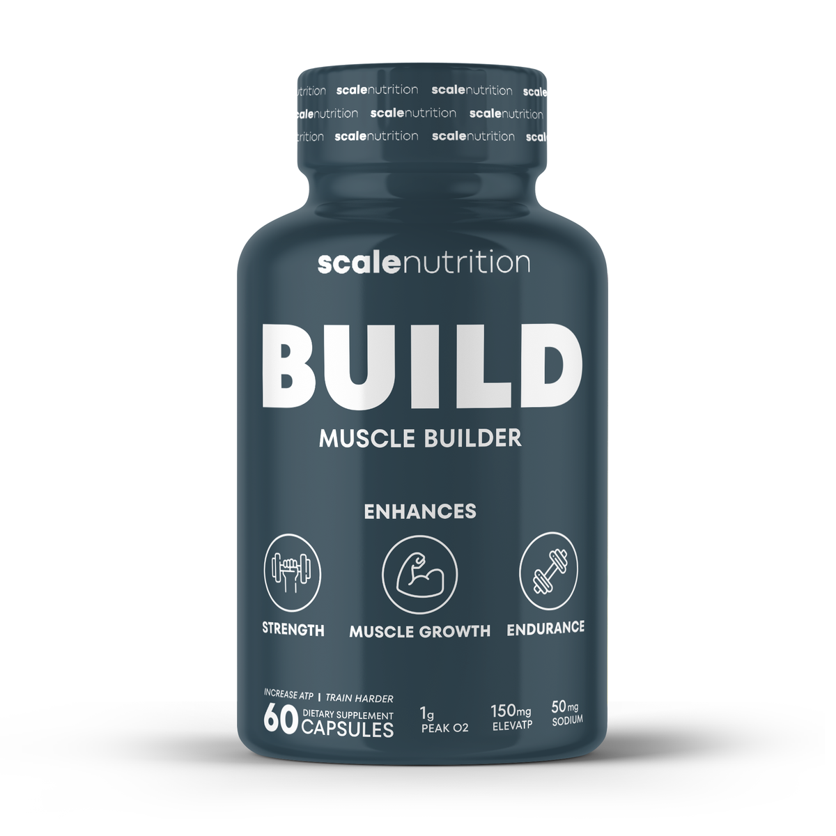 Build - Muscle Builder