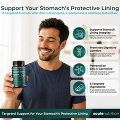 Stomach Lining Support