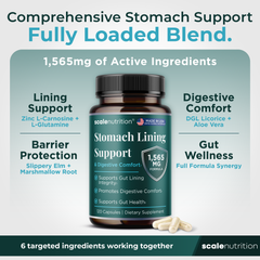 Stomach Lining Support