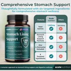 Stomach Lining Support