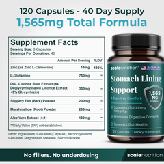Stomach Lining Support