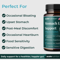 Stomach Lining Support